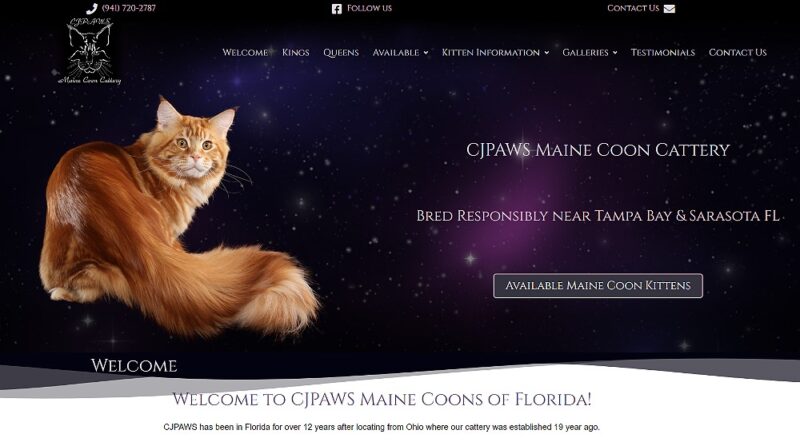 CJPAWS Maine Coons of FL