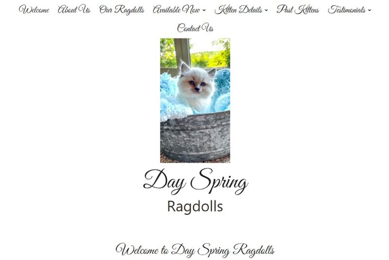 Day Spring Ragdolls 2023