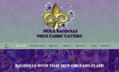 Website Design Clarksville TN